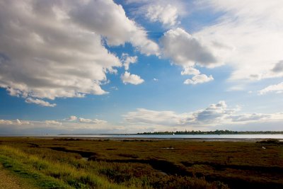 _MG_9130 brightlingsea.jpg