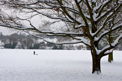 _MG_9235 danson park.jpg