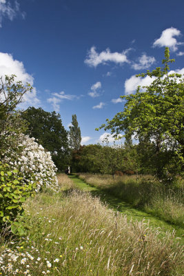 _MG_8177 sissinghurst.jpg