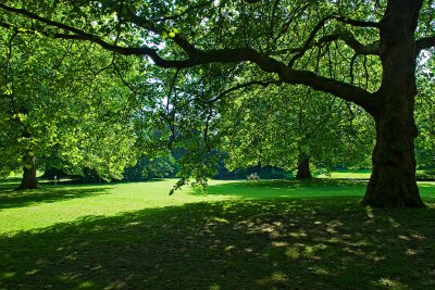 2409 audley end house.jpg