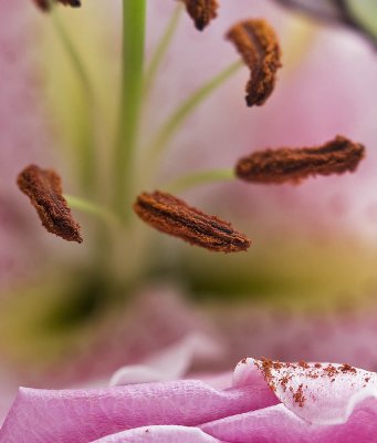 _MG_5521.jpg