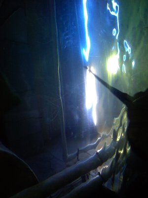 g1/09/661309/3/116865715.9I5RJLo6.jpg