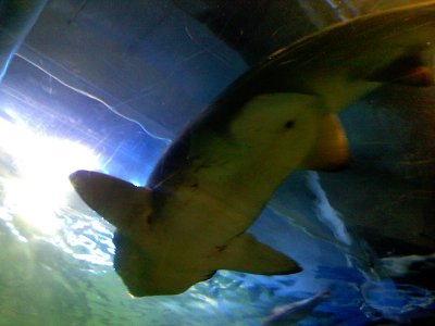 g1/09/661309/3/116865772.FZ9m5db8.jpg