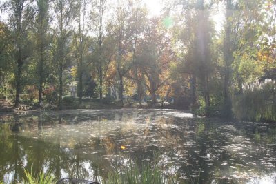 Caldas da Reinha9.jpg
