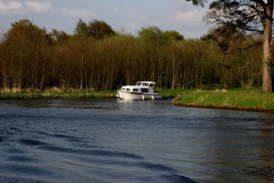 Puca on the Boyle River.jpg