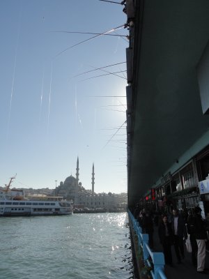 DSC00770.JPG