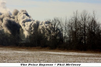 Are the woods on fire??