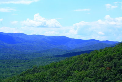 Amicalola Falls - Georgia