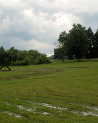 soggy field