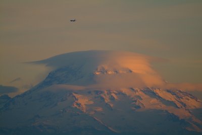 DSCF9517.JPG