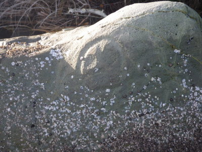 Petroglyphs on rock near Bainbridge Island.