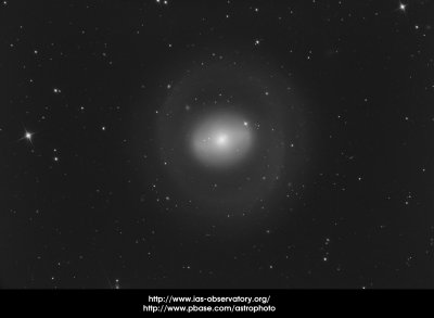 NGC1269 bw