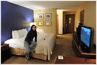 Holiday Inn Greenbelt, Maryland for just $55 a night inclusive (regular rate $120) , thanks to Priceline's Name Your Own Price