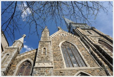 Mystic Aquarium and Yale University