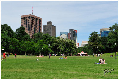 Boston Common - one of the oldest city parks in the United States