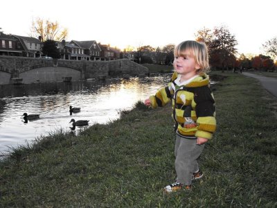 Connor loves communing with the ducks on Carroll Creek.