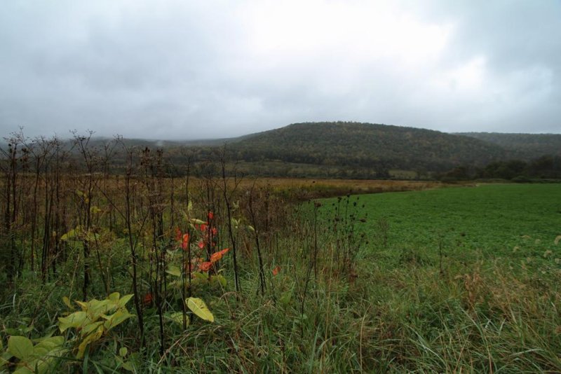 Near Watkins Glen, New York