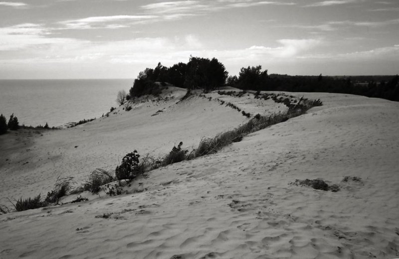 Sand Dunes - Point Pelee National Park, Leamington, Ontario