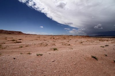 On 264 Enroute to Kykotsmovi, AZ