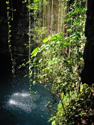 Ikil Cenote (Blue Cenote) near Chichen Itza