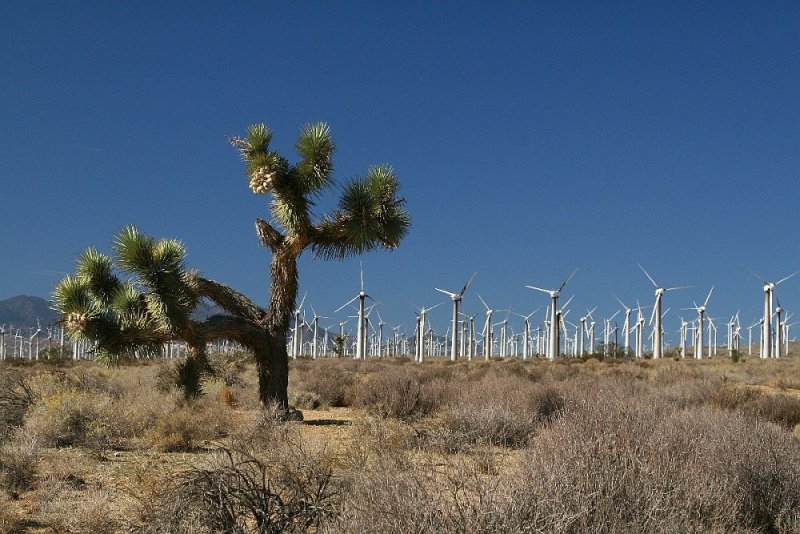 Desert windmills