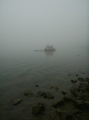 Fog on the river