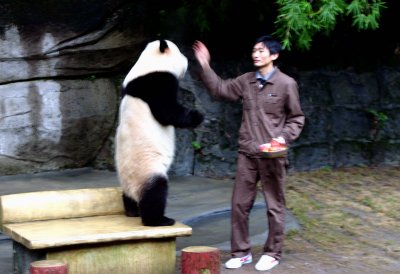 China_2005 384.jpg