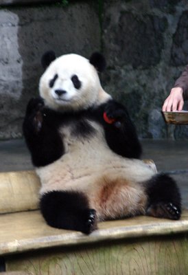 China_2005 386.jpg