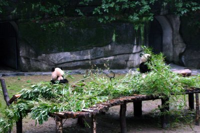 China_2005 394.jpg