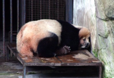 China_2005 396.jpg