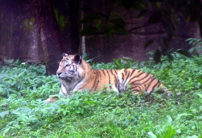 China_2005 401.jpg