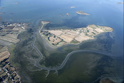 8650 Île Tascon Golfe du Morbihan 08-2010.jpg