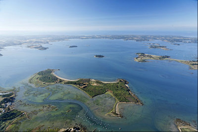 8625 île de Boëd Golfe du Morbihan 08-2010.jpg