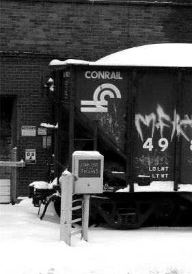 NYC498221.jpg