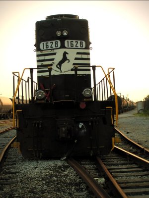 NS1628.jpg