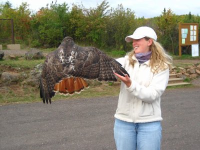 Debbie with Red-tailed Hawk