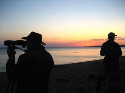 Jaeger-fest birders