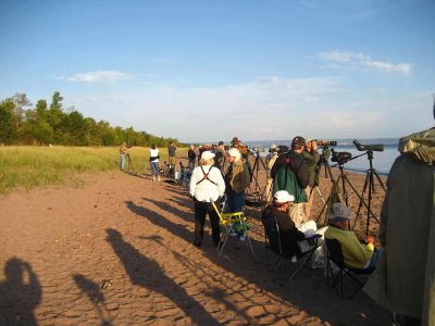 Jaeger-fest birders