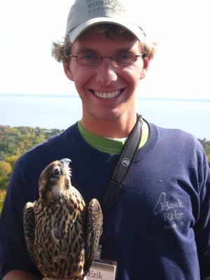 I'm holding a Peregrine Falcon