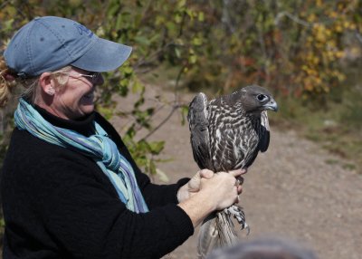 Julie holding the Gyrfalcon