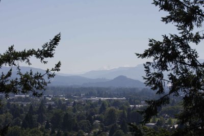 View from the peak of Springfield