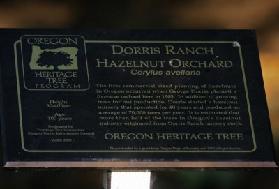 Dorris Ranch - Springfield, OR