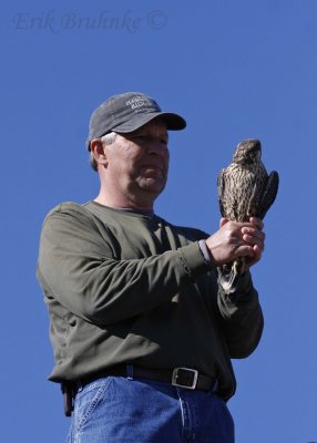 Russ holding Peregrine Falcon