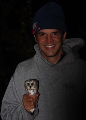 Cam with Northern Saw-whet Owl