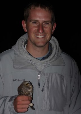 Josh with Northern Saw-whet Owl