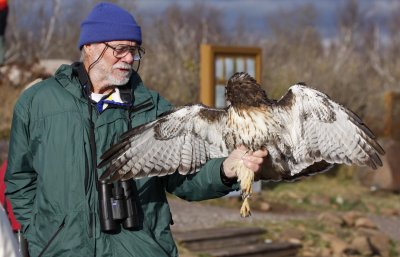 Bill Clark with Red-tailed Hawk