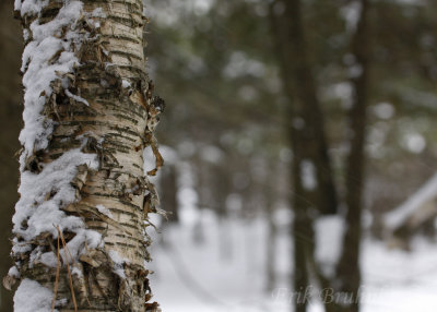 Canal Park and Hartley Nature Center - Superior Hiking Trail