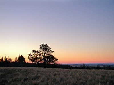 Cypress Hills Sunrise