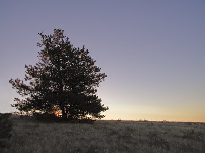 Cypress Hills Sunrise II