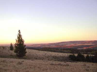 Cypress Hills Sunrise III